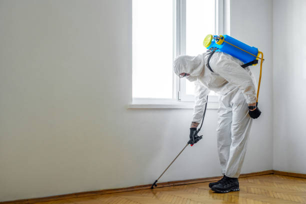 Indoor Pest Control in Crouch Mesa, NM